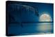 Beautiful Full Moon Reflected on the Calm Water of a Tropical Beach (Toned in Blue)-Kamira-Premier Image Canvas