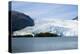 Beautiful Glaciers Drop into the Ocean in Kenai Fjords NP, Alaska-Rick Daley-Premier Image Canvas