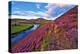 Beautiful Landscape of Scottish Nature--Markus--Premier Image Canvas