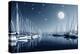 Beautiful Landscape of Yacht Harbor at Night, Full Moon, Marina in Bright Moonlight, Luxury Water T-Anna Omelchenko-Premier Image Canvas