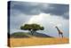 Beautiful Landscape with Nobody Tree and Gireffe in Africa-Volodymyr Burdiak-Premier Image Canvas
