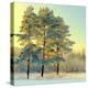 Beautiful Landscape with Winter Forest-DeSerg-Stretched Canvas