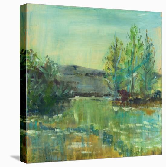 Beautiful Life-Sue Schlabach-Stretched Canvas