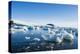 Beautiful little icebergs, Hope Bay, Antarctica, Polar Regions-Michael Runkel-Premier Image Canvas
