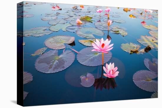 Beautiful Lotus Flower Outdoor-kridsada tipchot-Premier Image Canvas