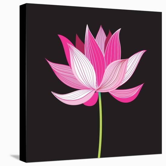 Beautiful Lotus Flower-Tatiana Korchemkina-Stretched Canvas