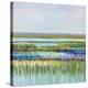 Beautiful Marshland-Libby Smart-Stretched Canvas