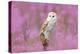 Beautiful Nature Scene with Owl and Pink Flowers. Barn Owl in Light Pink Bloom, Clear Foreground An-Ondrej Prosicky-Premier Image Canvas