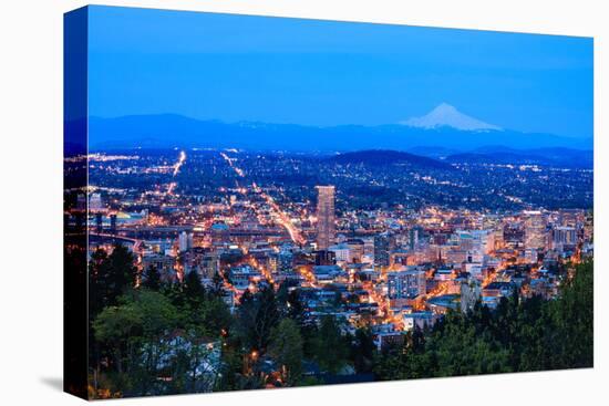 Beautiful Night Vista of Portland, Oregon-diro-Premier Image Canvas