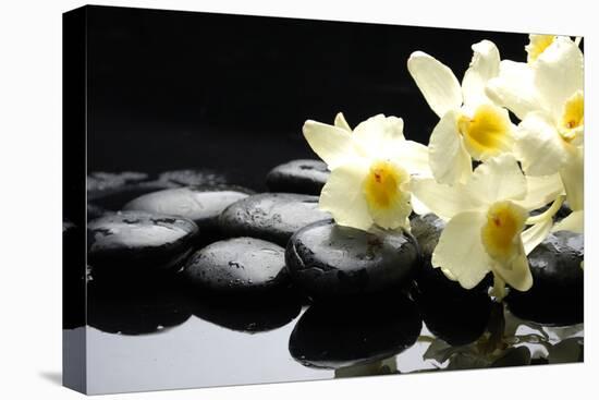 Beautiful Orchid and Stone with Water Reflection-crystalfoto-Premier Image Canvas