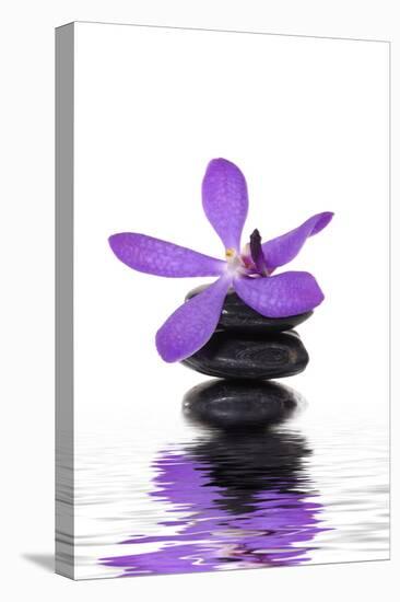 Beautiful Orchid and Stone with Water Reflection-crystalfoto-Premier Image Canvas