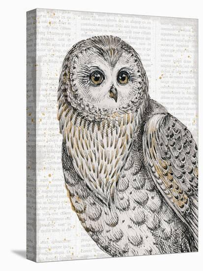 Beautiful Owls IV-Daphne Brissonnet-Stretched Canvas