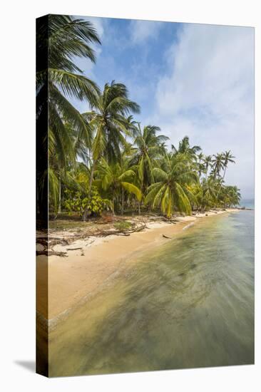 Beautiful palm fringed beach, Achutupu, San Blas Islands, Kuna Yala, Panama, Central America-Michael Runkel-Premier Image Canvas