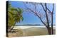 Beautiful Palm Fringed White Sand Playa Carrillo-Rob Francis-Premier Image Canvas