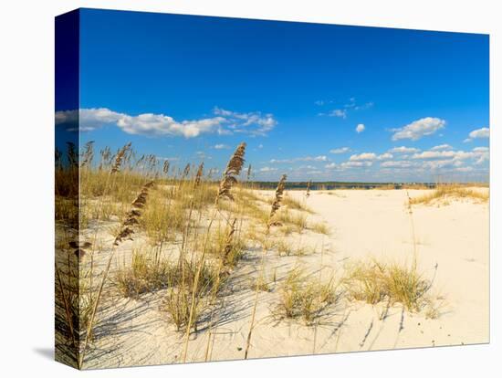 Beautiful Perdido Beach in Pensacola, Florida.-Fotoluminate LLC-Premier Image Canvas