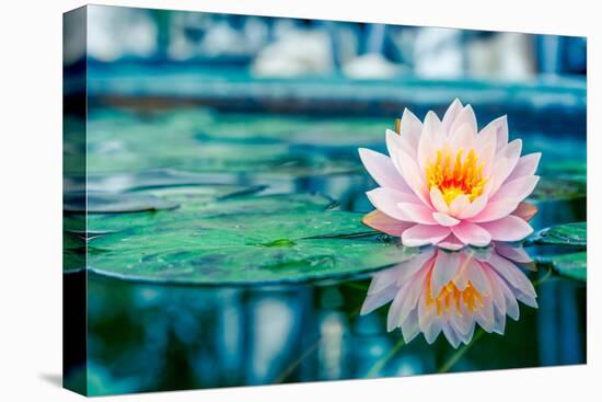 Beautiful Pink Lotus, Water Plant with Reflection in a Pond-Vasin Lee-Premier Image Canvas
