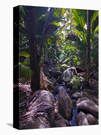 Beautiful Rocks in the Jungle of Valle De Mai, Praslin, Seychelles, Africa-null-Premier Image Canvas