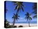 Beautiful Sandy Beach and Palms at Ngazidja, Grand Comore, Comoros, Indian Ocean, Africa-null-Premier Image Canvas