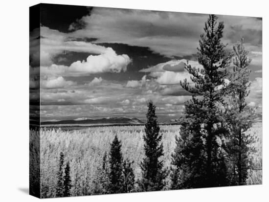 Beautiful Scene of the Countryside as Seen from the Alcan Highway-J^ R^ Eyerman-Premier Image Canvas