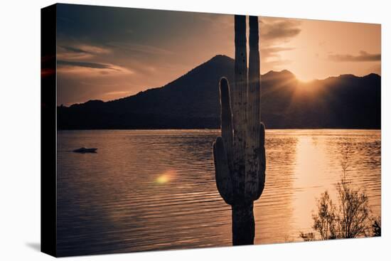 Beautiful Scenic Landscape with Saguaro Cactus Mountains and Sun Ray Flare.-BCFC-Premier Image Canvas