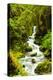 Beautiful stream in the lush Tongass National Forest, Alaska-Mark A Johnson-Premier Image Canvas