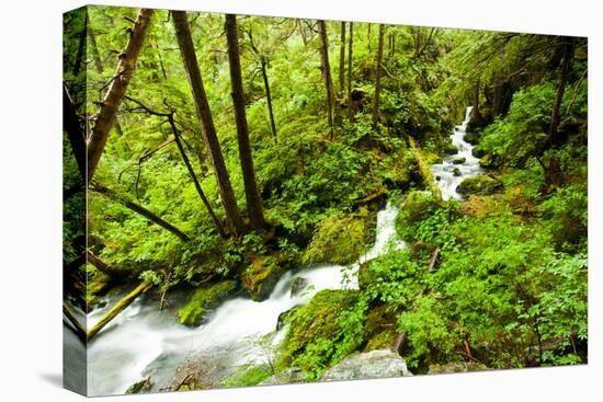 Beautiful stream in the lush Tongass National Forest, Alaska-Mark A Johnson-Premier Image Canvas