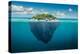 Beautiful Underwater View of Lone Small Island above and below the Water Surface in Turquoise Water-rasica-Premier Image Canvas