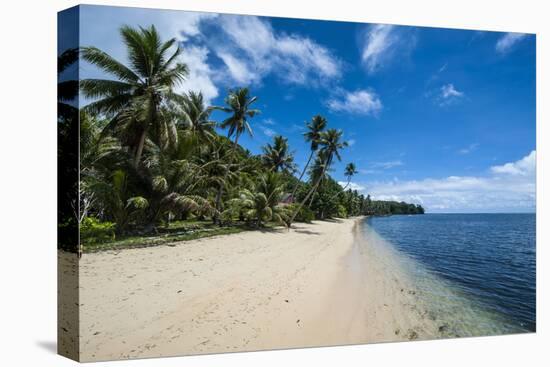 Beautiful White Sand Beach and Palm Trees on the Island of Yap, Micronesia-Michael Runkel-Premier Image Canvas