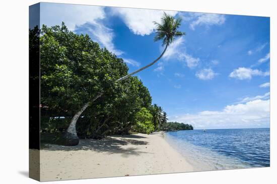 Beautiful White Sand Beach and Palm Trees on Yap Island, Micronesia-Michael Runkel-Premier Image Canvas