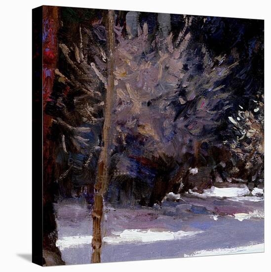 Beautiful Winter (detail no. 5)-Kent Wallis-Stretched Canvas
