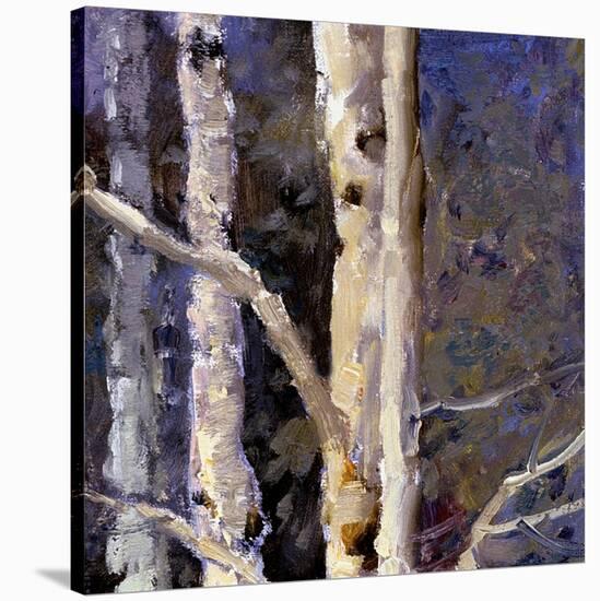 Beautiful Winter (detail no. 9)-Kent Wallis-Stretched Canvas