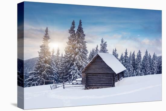 Beautiful Winter Landscape with Snow Covered Trees. Dramatic Sky. Carpathian, Ukraine, Europe. Beau-Leonid Tit-Premier Image Canvas