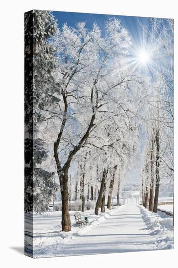 Beautiful Winter Landscape with Snow Covered Trees-Leonid Tit-Premier Image Canvas