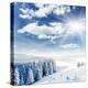 Beautiful Winter Landscape with Snow Covered Trees-Leonid Tit-Premier Image Canvas