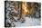 Beautiful Winter Landscape with Sunset in the Forest-yanikap-Premier Image Canvas