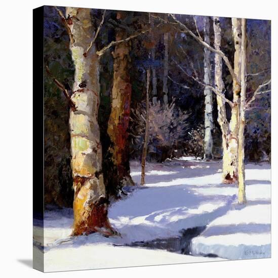 Beautiful Winter-Kent Wallis-Stretched Canvas