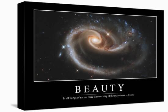 Beauty: Inspirational Quote and Motivational Poster-null-Premier Image Canvas