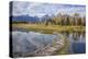 Beaver Dam, Snake River at Schwabacher Landing, Grand Tetons National Park, Wyoming, U.S.A.-Gary Cook-Premier Image Canvas