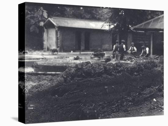 Beaver Lodge with Keepers in Background, London Zoo, July 1916-Frederick William Bond-Premier Image Canvas