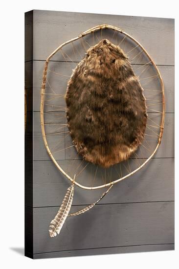 Beaver Pelt Stretched on a Sapling Frame and Laced with Rawhide-null-Premier Image Canvas