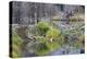 Beaver Pond, Dam and House-Ken Archer-Premier Image Canvas