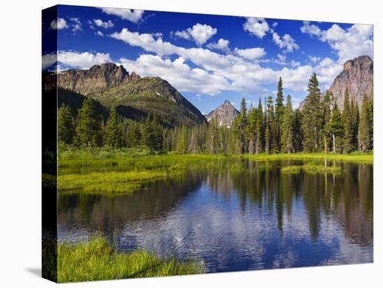 Beaver Pond in Two Medicine Valley, Glacier National Park, Montana, Usa-Chuck Haney-Premier Image Canvas