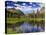 Beaver Pond in Two Medicine Valley, Glacier National Park, Montana, Usa-Chuck Haney-Premier Image Canvas