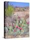 Beavertail Cactus, Joshua Tree National Park, California, USA-Rob Tilley-Premier Image Canvas