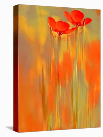 Because of You 1-Philippe Sainte-Laudy-Premier Image Canvas