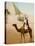 Bedouin on camel on the Giza plateau in Cairo. Ca. 1900-1910-null-Premier Image Canvas