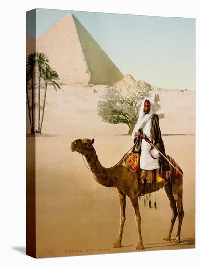 Bedouin on camel on the Giza plateau in Cairo. Ca. 1900-1910-null-Premier Image Canvas