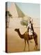 Bedouin on camel on the Giza plateau in Cairo. Ca. 1900-1910-null-Premier Image Canvas