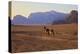 Bedouin with Camels, Wadi Rum, Jordan, Middle East-Neil Farrin-Premier Image Canvas