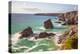 Bedruthan Steps, Newquay, Cornwall, England, United Kingdom-Billy Stock-Premier Image Canvas